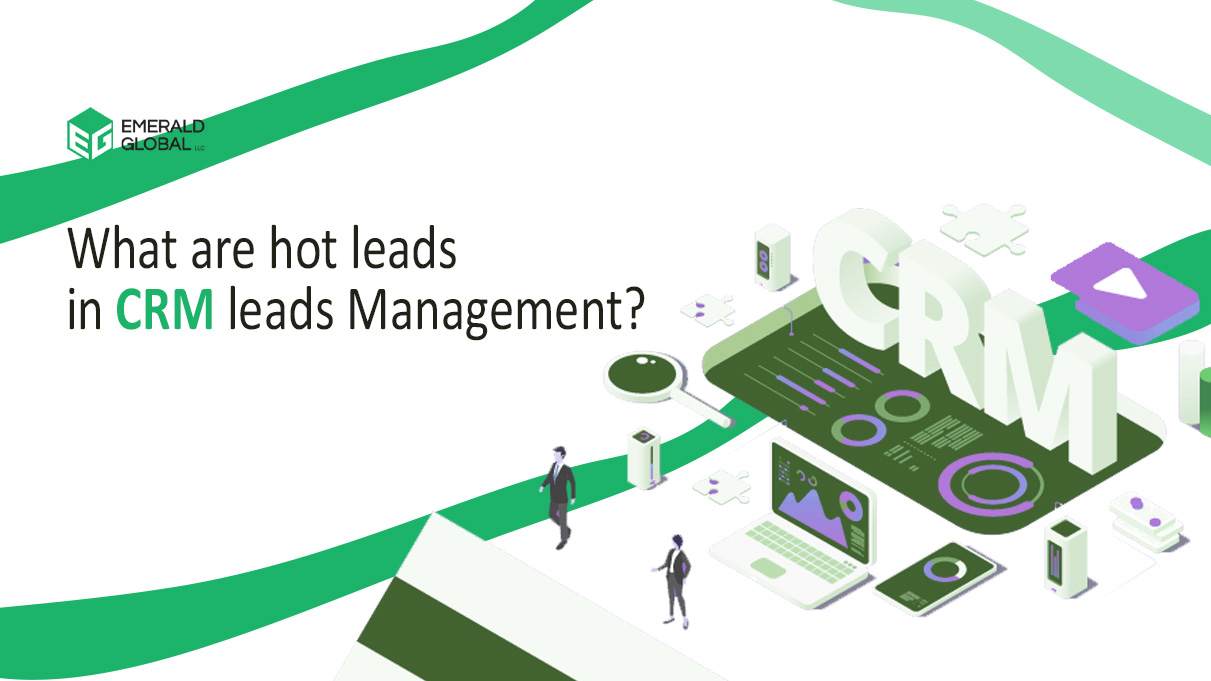 What are hot leads in CRM leads management?