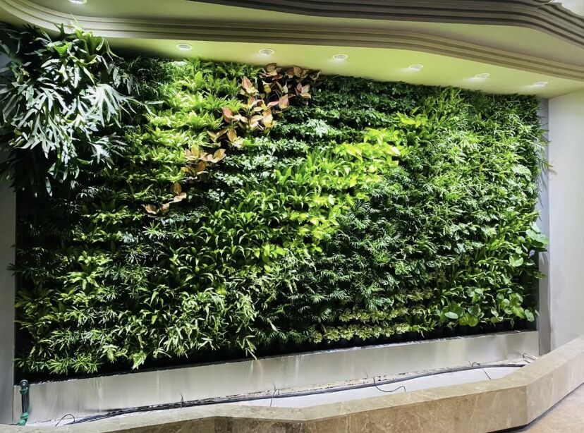 Three-dimensional greening into the interior