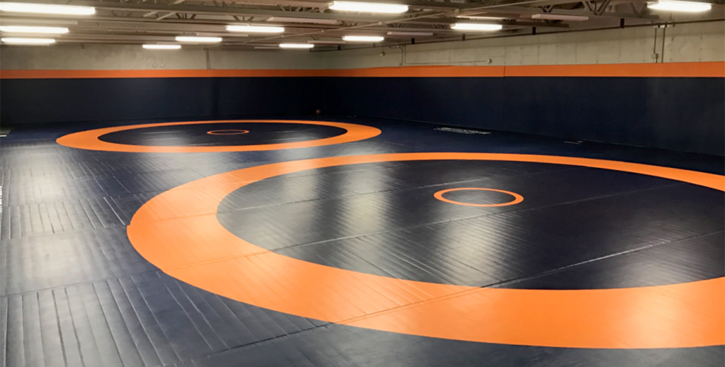 Learn The Art of Wrestling to Ensure Your Safety
