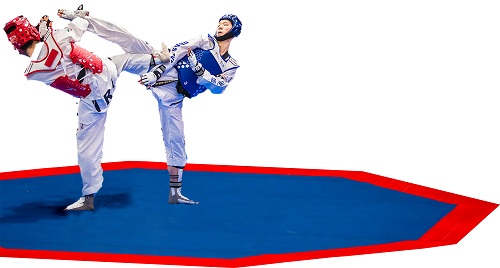 Judo Mats Manufacturer in Delhi