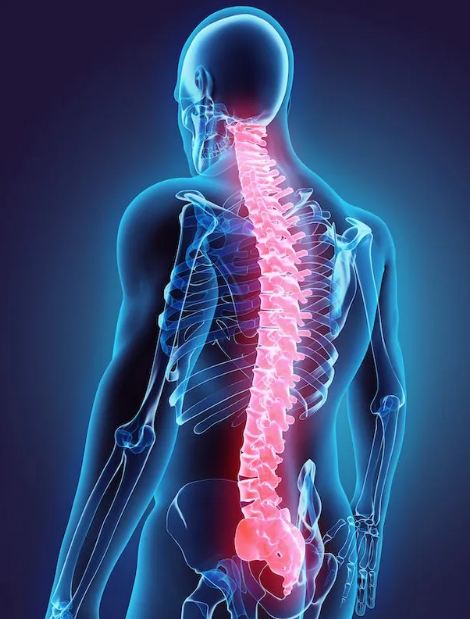 Exploring Non-Fusion Spine Surgery: A New Alternative for Patients in Tampa 