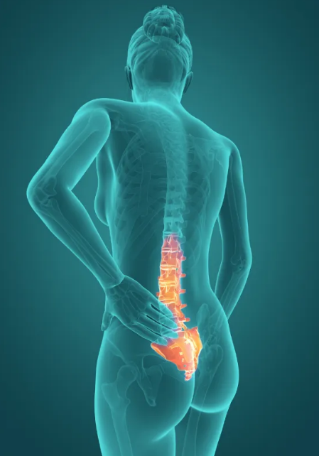 Back Pain Relief: Consulting with a Specialist Back Pain Doctor