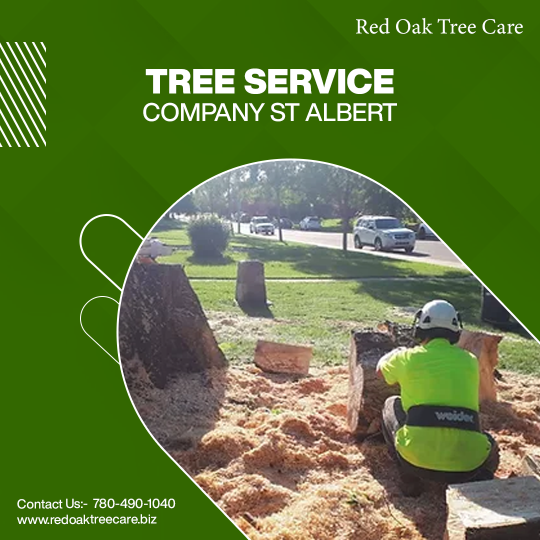 Affordable Tree Service Company 