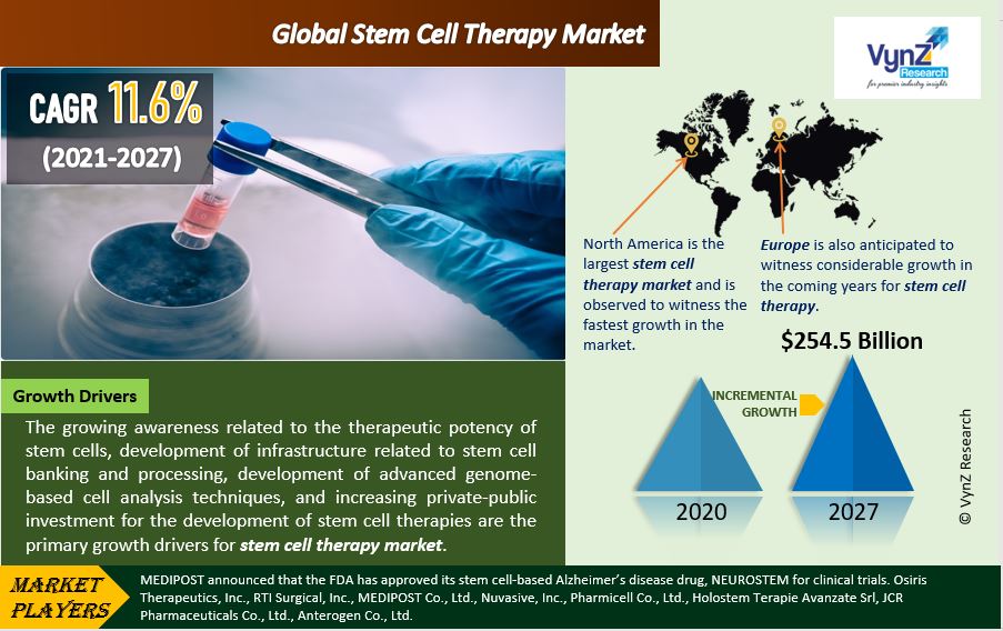 Global Stem Cell Therapy Market Size, Share, and Demand Forecast to 2030 | VynZ Research