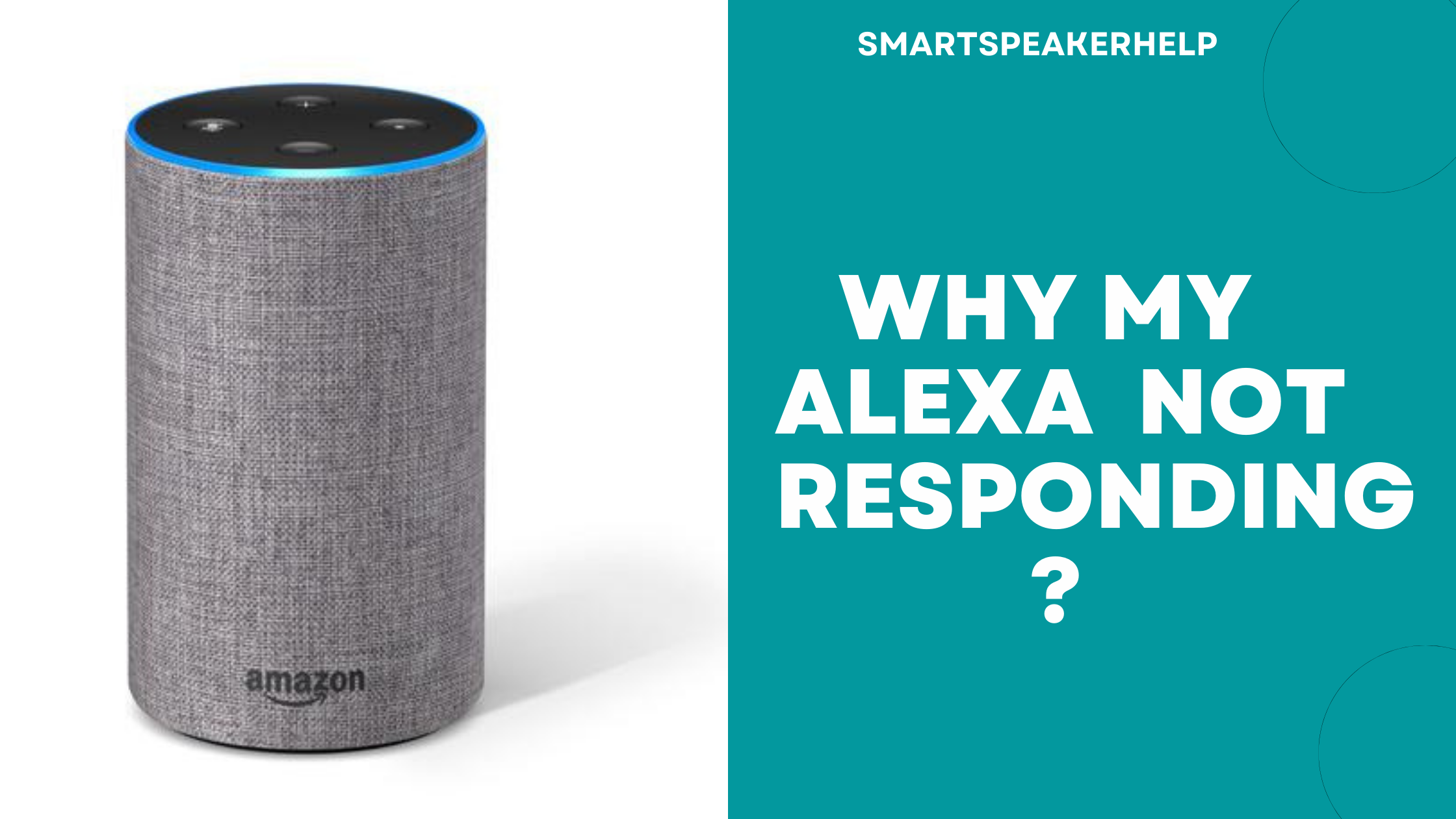Alexa Not Responding — How to Fix It ?