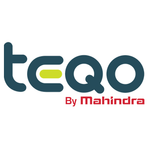 Utility Scale Solar Plants – Mahindra Teqo