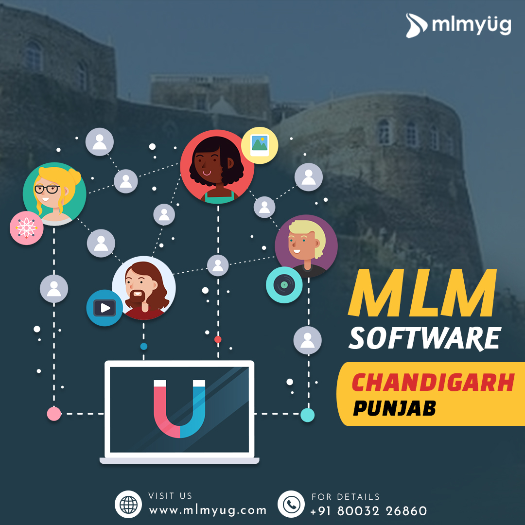 MLM Software Solutions in Chandigarh and Prominent Companies in Punjab