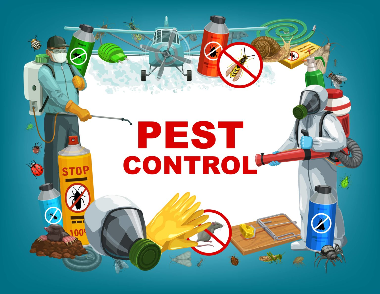 Termite control Ludhiana to Protect Your Assets and Create Healthy Environment 