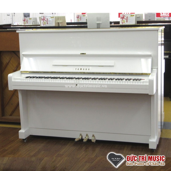 Piano điện và piano cơ: Những điều quan trọng cần phải biết