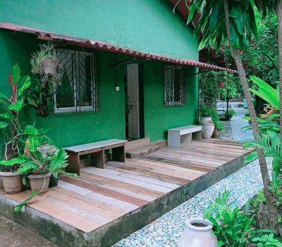 Luxury Meets Nature: Best Pet Friendly Getaways in Mumbai for 2025 Staycations