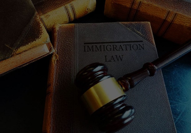 Importance of Immigration Lawyers
