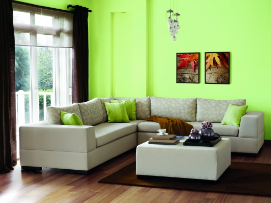 Painting Services is a Best Way to Give the House a Better Look