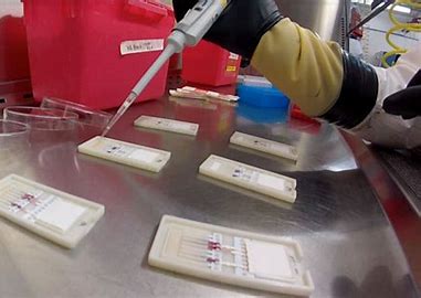 Paper Diagnostics Market Competitive Landscape and its Industry Growth Prospect By 2028