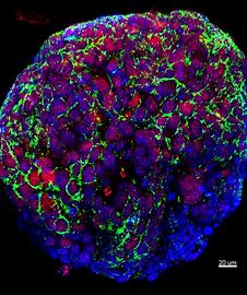 Whole Exome Sequencing Market Analysis New Opportunities, Dynamics With Financial Facts By 2028