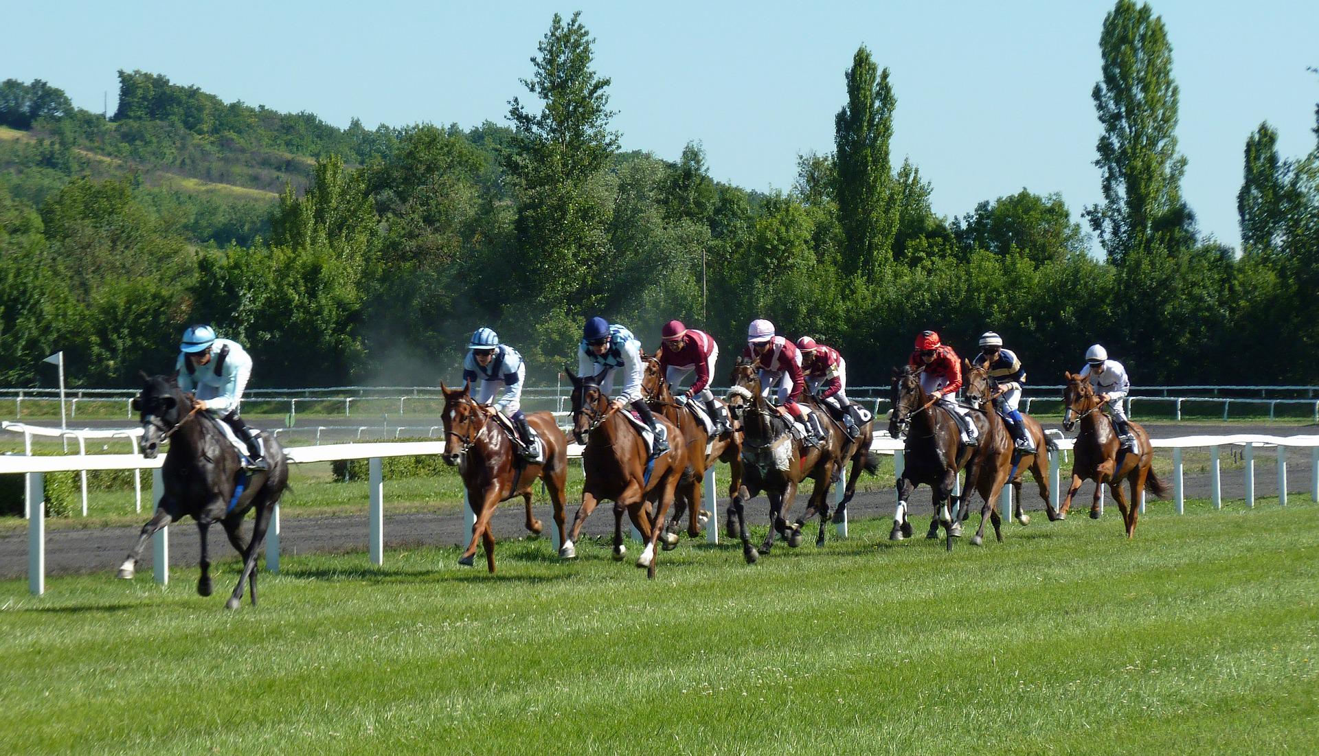 How Much Does a Race Horse Cost in Singapore?