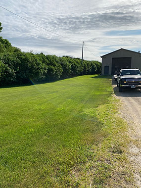 How To Manage Your Grass Establishment With Confidence?