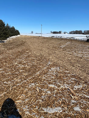 An Environmentally Friendly Land Clearing Services Provider