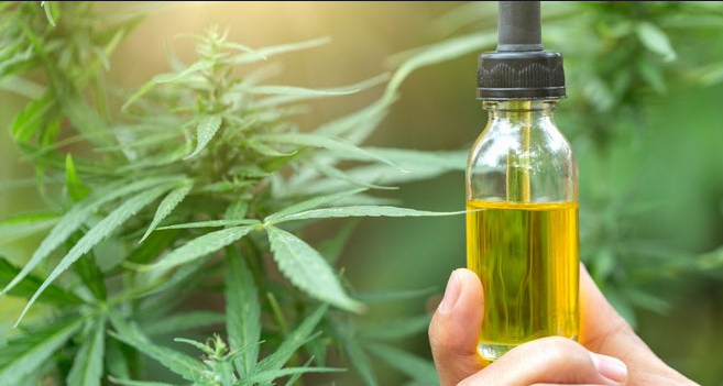 How To Choose Best HID Grow Light For Weeds?