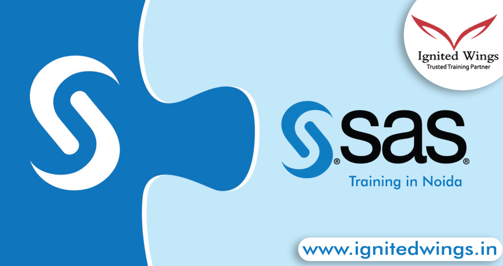 SAS Training institute