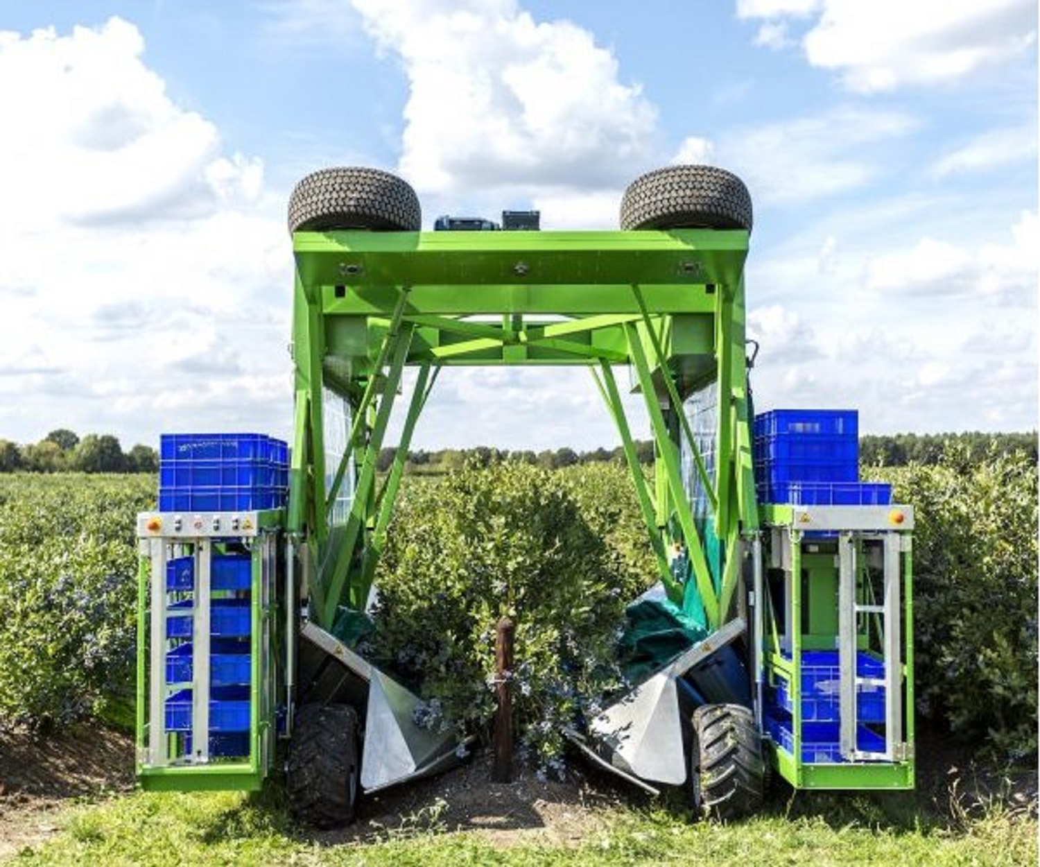 Berry Harvester Market News by Reports and Insights