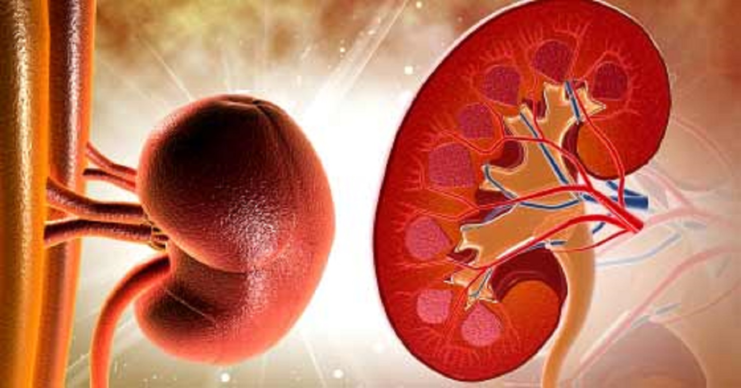 Unveiling Growth Opportunities: A Comprehensive Analysis of the Albumin & Creatinine Tests Market Report 2023