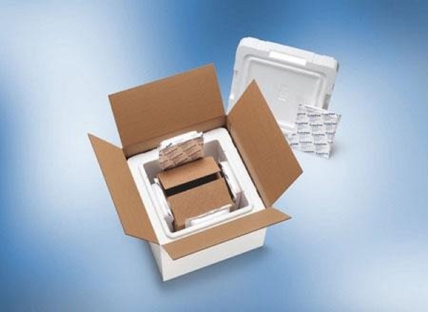 Passive Temperature-Controlled Packaging Market Industry Report, Size, Share 2025-2033