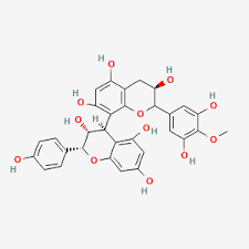Proanthocyanidins Market Growth Rate Analysis Report 2022-2028