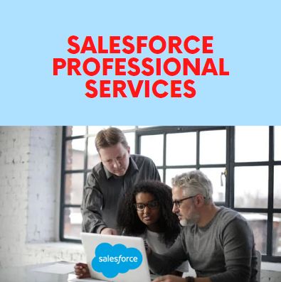 Salesforce Professional Services - Emorphis Technologies