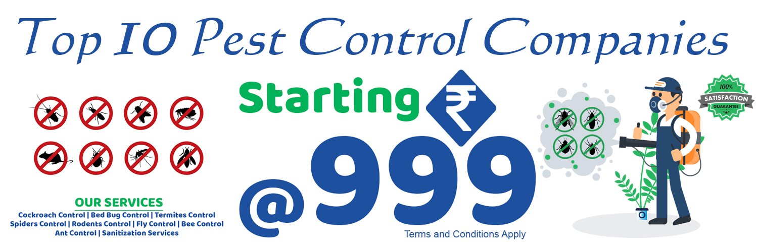 Top Pest Control Companies in Borivali, Cockroach, Termite, Rat.