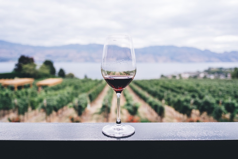 Best Winery Restaurants to Visit in Western Australia's Margaret River Wine Region