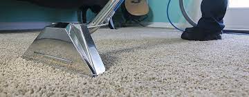 5 Reasons Why You Should Hire a Carpet Cleaning Service