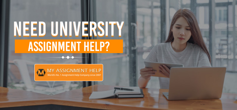 The Business Report: A Guide for Writers