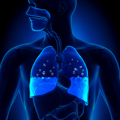 Pulmonary Arterial Hypertension Market Covering Prime Factors And Expected To Grow By CAGR, During The Forecast Period 2022-2031