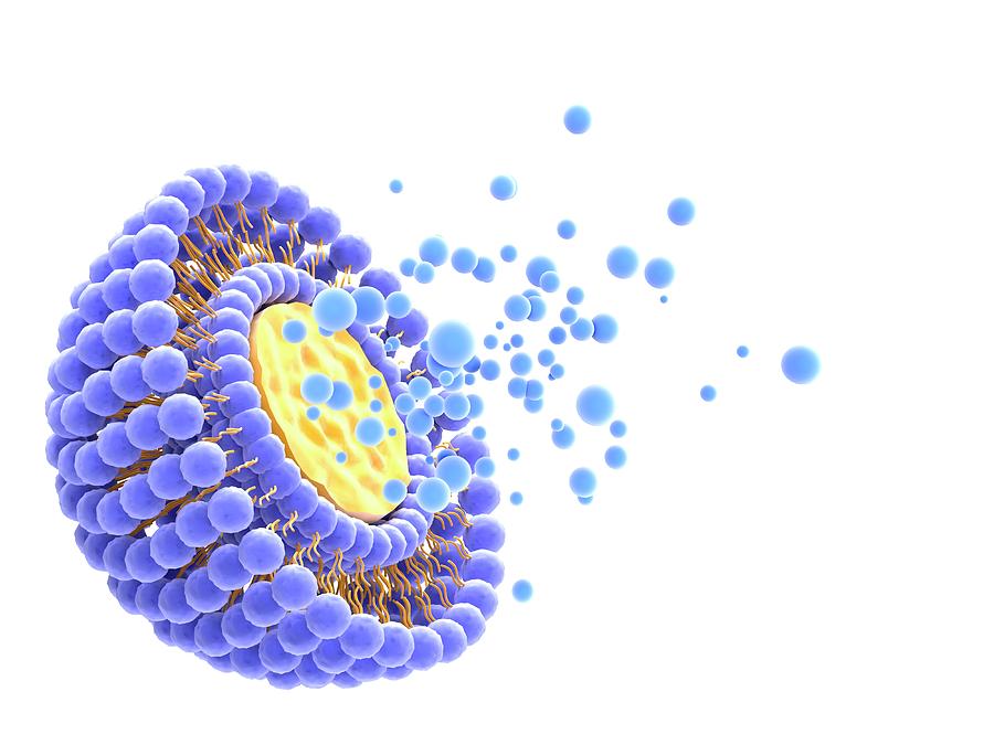 Liposomal Drug Delivery Devices Market 2023 : Trends, Future Demands, Growth Factors, Emerging Technologies And Outlook Till 2032