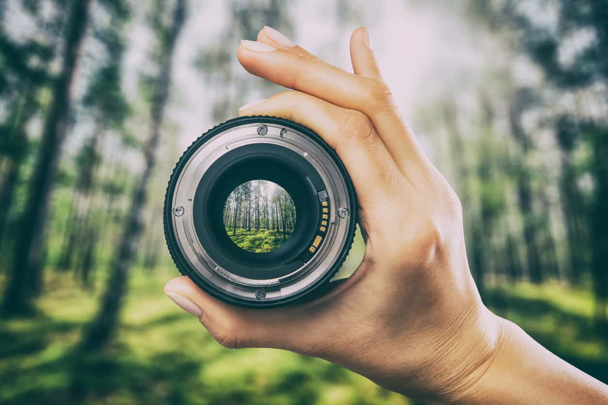 Live Streaming Market Analysis  And Forecast Report 2022-2031 By Top Players - Amazon, Boxcast, Dacast, Flux Broadcast, Google LLC