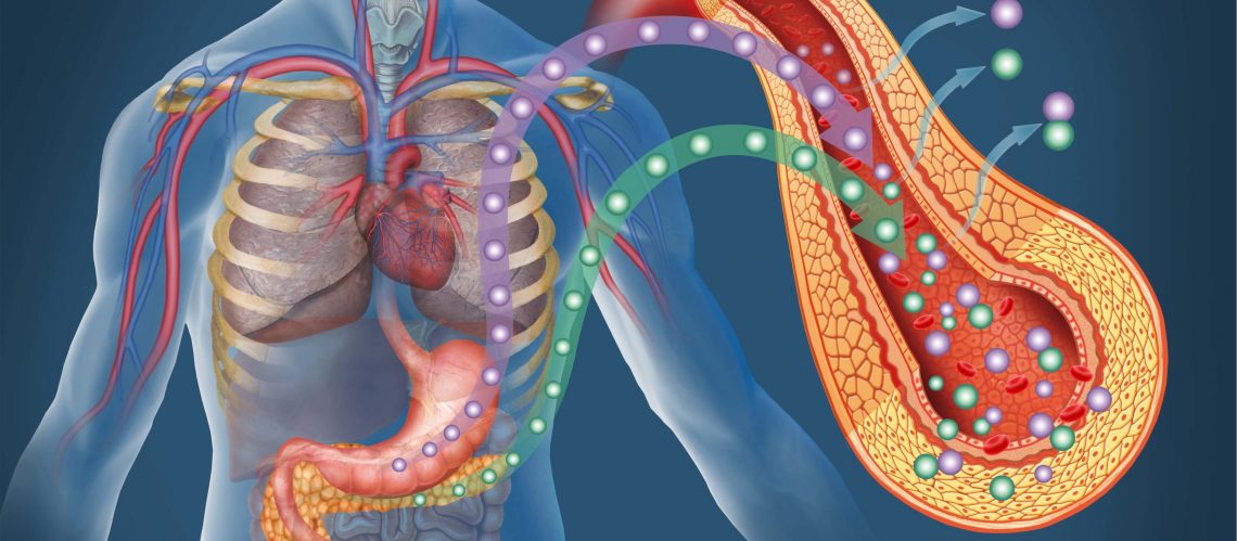 The Qualities of Good Endocrinology Doctors