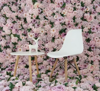 Backdrop Hire