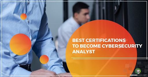 Should I go into cybersecurity or software development?