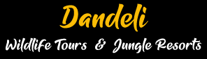 Why Are Dandeli Tourist Places Counted As The Best In The Country- Top Places To Visit!
