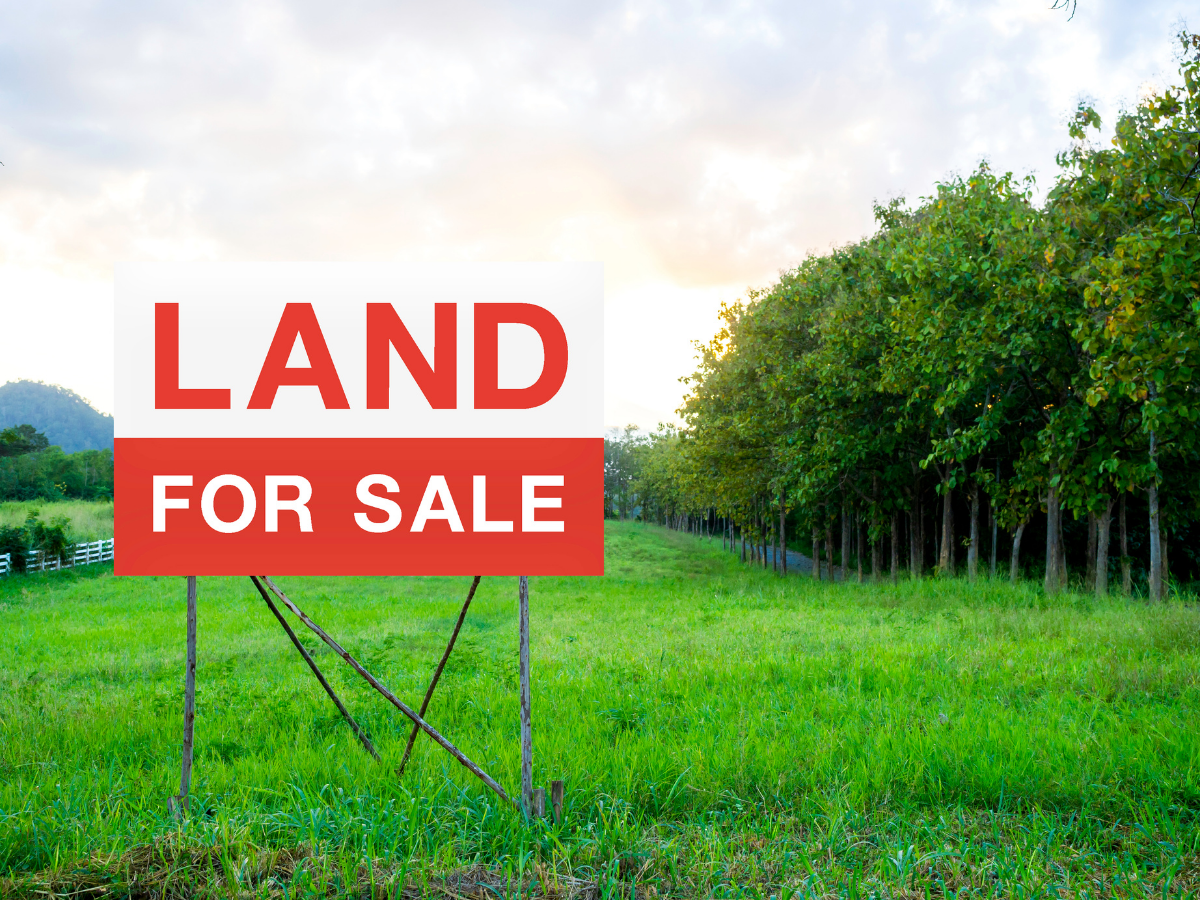 5 Things You Should Consider Before Buying a Plot