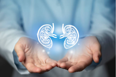 8 Signs That Men Should See a Urologist