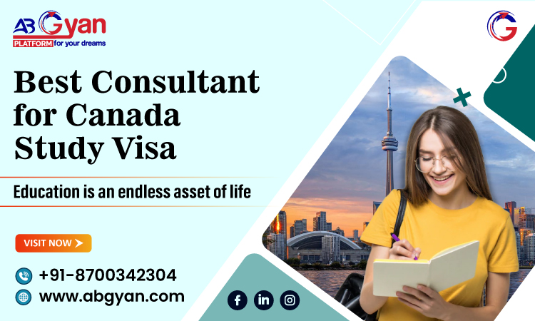 The Work Environment in Canada: An Overview