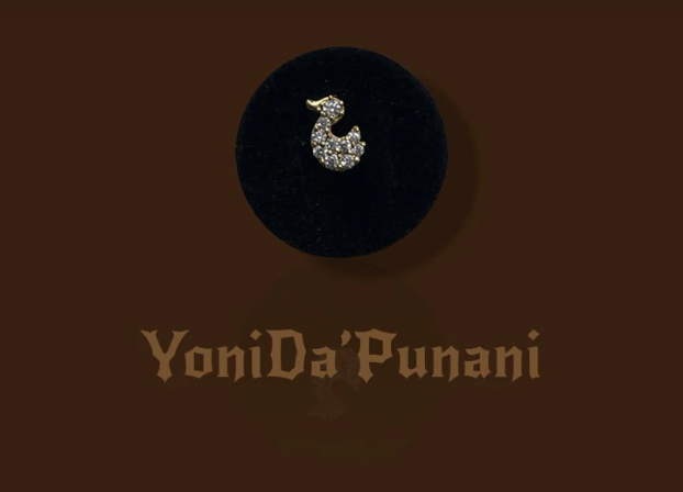 What to Know Before Getting a Cool Belly Button Piercing