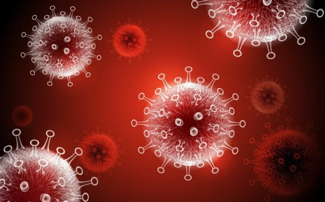 How COVID 19 Changed Our Lives?