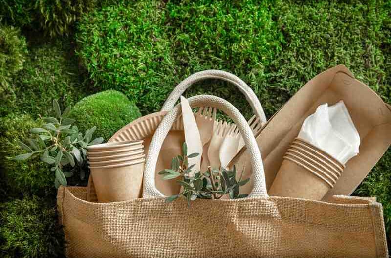 Honeycomb Paper Gains Momentum as Eco Friendly Packaging Alternative