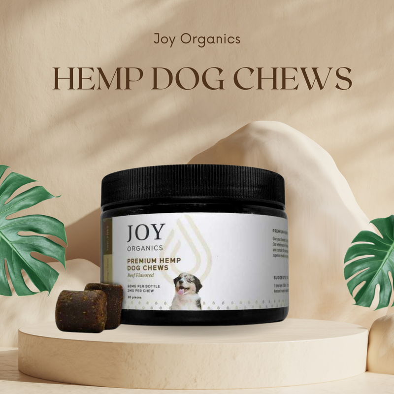 Buy CBD Products For Pets Online | My Hemp Hen