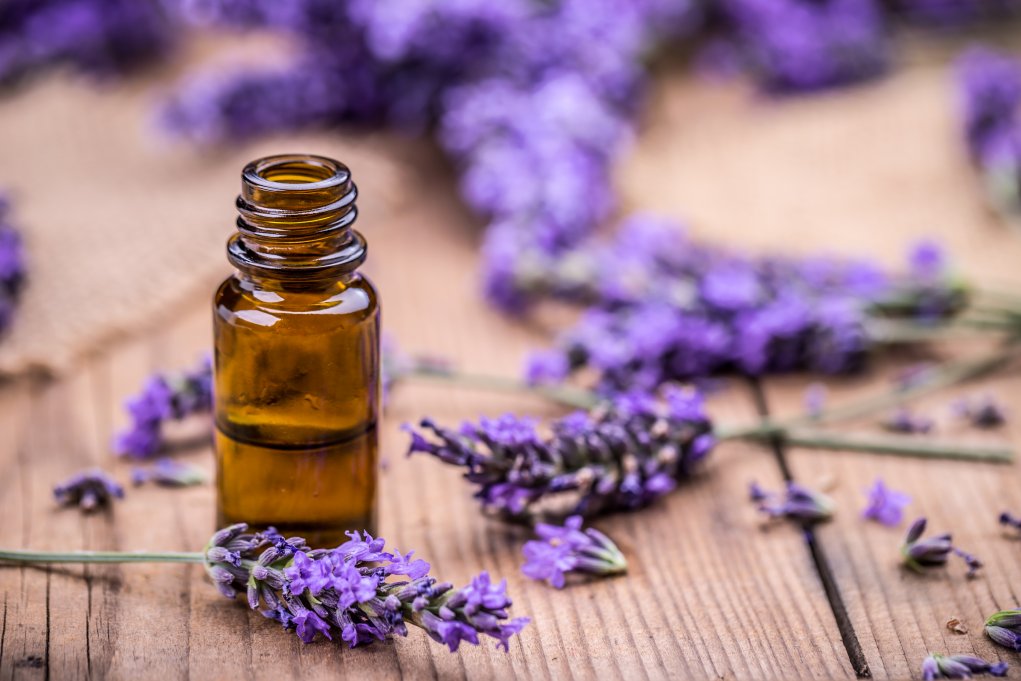 Lavender Essential Oil Extract Market Size, Key Players Analysis And Forecast To 2028 | Value Market Research