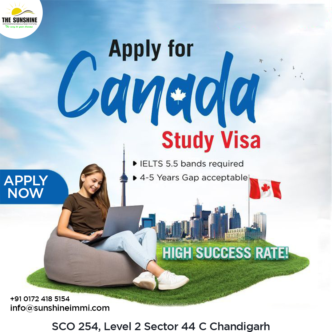 Meet with an expert team of Best immigration consultants in Chandigarh