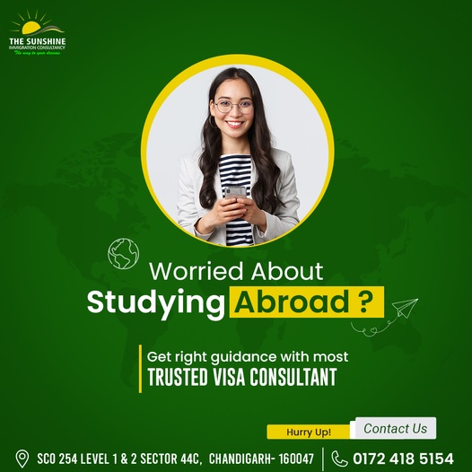 Beyond the Visa: How Immigration Services Can Help You Thrive as a Student Abroad