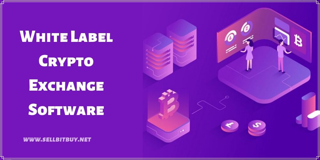 How to start a crypto exchange website with a white label crypto exchange Software?